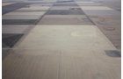 Property photo 45 - Kansas Land Auction - 960 Acres - 7 Farms in 3 Counties